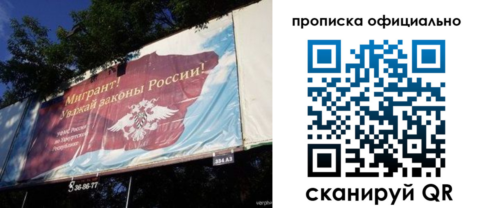 временная регистрация поиск в Воронежской области